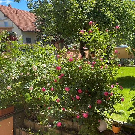 Ferienwohnung Am Eck ルスト エクステリア 写真