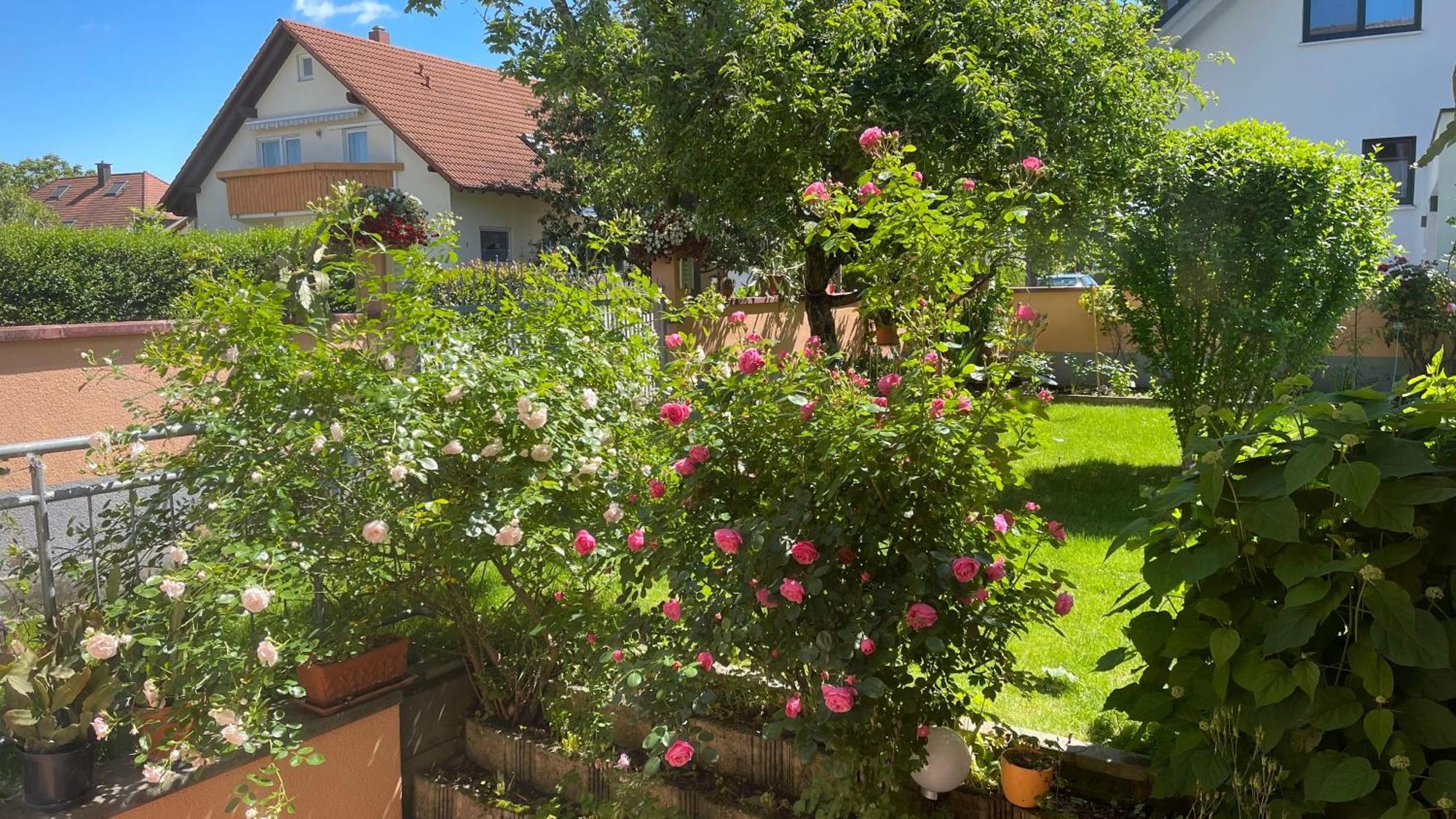 Ferienwohnung Am Eck ルスト エクステリア 写真
